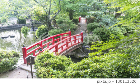 「遥かな町へ」の舞台を訪ねて 打吹公園 「遥かな町へ」の舞台を訪ねて 打吹公園 130112320