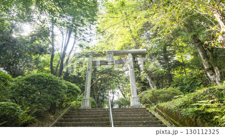 「遥かな町へ」の舞台を訪ねて 打吹公園 「遥かな町へ」の舞台を訪ねて 打吹公園 130112325