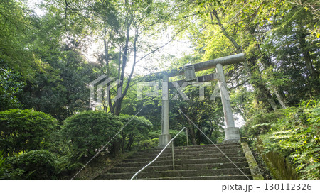 「遥かな町へ」の舞台を訪ねて 打吹公園 「遥かな町へ」の舞台を訪ねて 打吹公園 130112326
