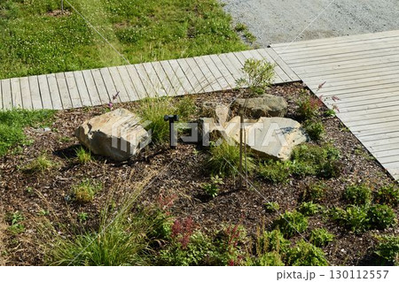 A tranquil and serene garden landscape featuring beautifully arranged rocks and vibrant greenery 130112557