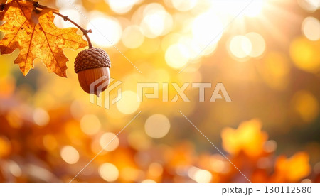 オレンジと赤の紅葉に置かれた小さなドングリ 130112580