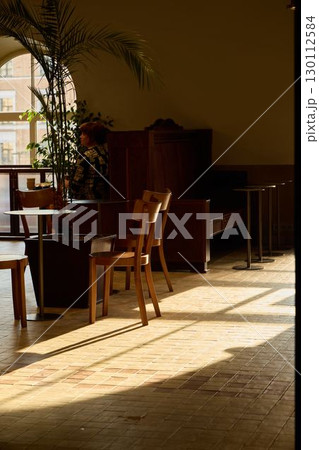 A Sunlit Interior Space Featuring Comfortable Chairs and a Beautiful Decorative Plant Arrangement 130112584