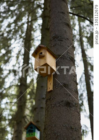 A Beautiful Wooden Birdhouse Perfectly Nesting in a Peaceful Forest Tree in Nature 130112679