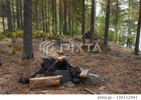 A Calm and Tranquil Forest Campsite Surrounded by Logs, Rocks, and Lush Greenery 130112841
