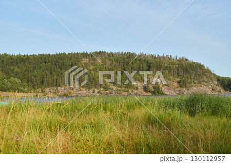 A Serene and Beautiful Landscape featuring Lush Vegetation along with a Rocky Outcrop 130112957