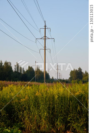 Power lines stretch across lush fields under clear blue skies, creating a serene view Power lines stretch across lush fields under clear blue skies, creating a serene view 130113015