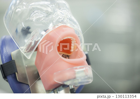 歯科治療訓練用マネキン 歯科治療訓練用マネキン 130113354