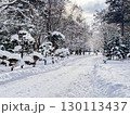 雪の積もった公園 130113437