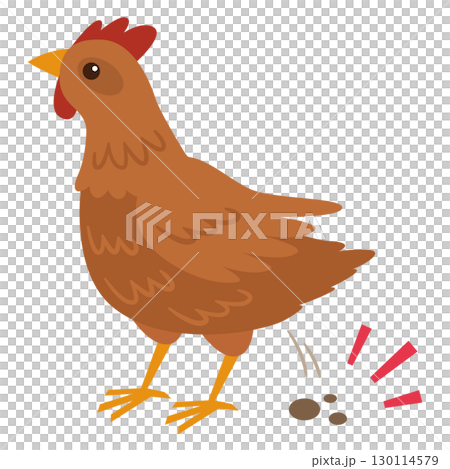 雞和雞糞的插圖 130114579
