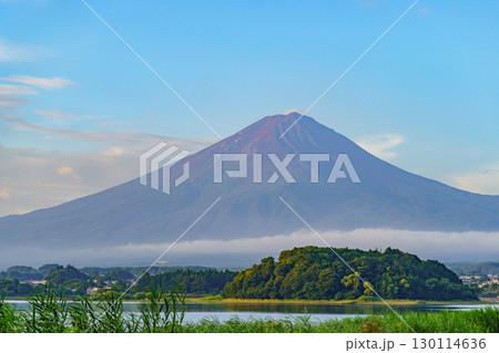 【山梨県】河口湖と富士山・大石公園(富士河口湖町)・夏の富士山(8月) 130114636