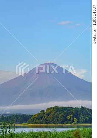 【山梨県】河口湖と富士山・大石公園(富士河口湖町)・夏の富士山(8月) 【山梨県】河口湖と富士山・大石公園(富士河口湖町)・夏の富士山(8月) 130114637