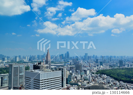 東京都庁 展望室から夏空に浮かぶ雲と都市の風景 東京都庁 展望室から夏空に浮かぶ雲と都市の風景 130114666