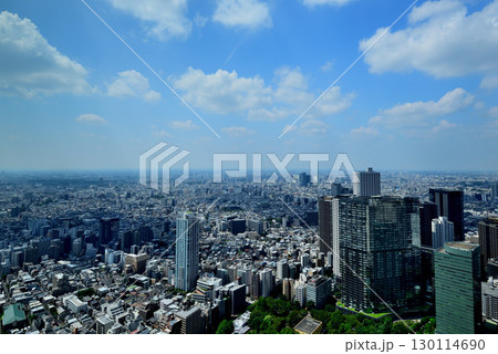 東京都庁 展望室から夏空に浮かぶ雲と都市の風景 130114690