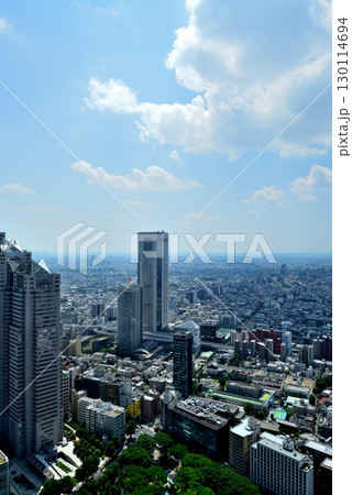 東京都庁 展望室から夏空に浮かぶ雲と都市の風景 130114694