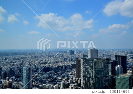 東京都庁 展望室から夏空に浮かぶ雲と都市の風景 130114695