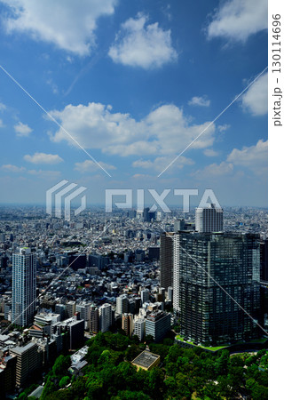 東京都庁 展望室から夏空に浮かぶ雲と都市の風景 東京都庁 展望室から夏空に浮かぶ雲と都市の風景 130114696