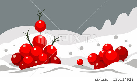 Vibrant red berries peek out from beneath the snow adding a pop of color to the otherwise monochromatic landscape.. Vibrant red berries peek out from beneath the snow adding a pop of color to the otherwise monochromatic landscape.. 130114922