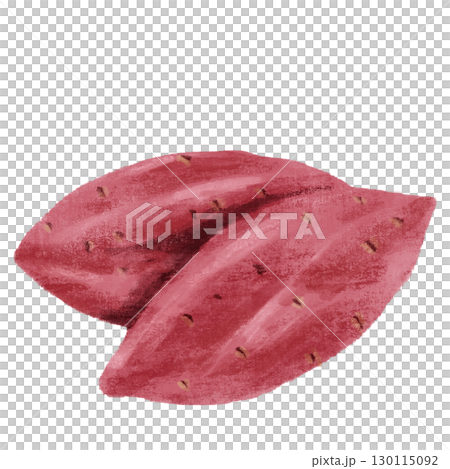 Illustration of sweet potatoes drawn in watercolor Illustration of sweet potatoes drawn in watercolor 130115092