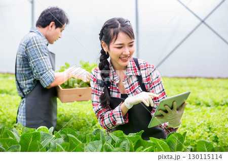 Asian man and women smart farmers use digital tablet monitor and manage organic vegetable crops in greenhouse, Modern agriculture and technology in sustainable farming. friendly farming practices. 130115114