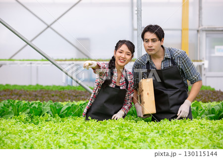 Happy young farmers working together in modern hydroponic greenhouse. Teamwork in organic farming, agricultural innovation and sustainable food production for future generations. 130115144