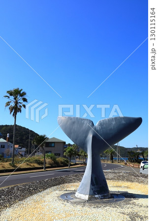 くじら浜公園　くじらのしっぽ 130115164