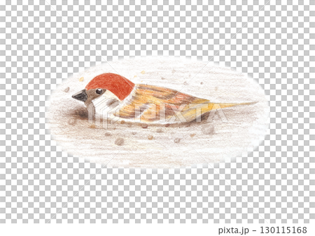 一隻麻雀在沙子裡洗澡 130115168