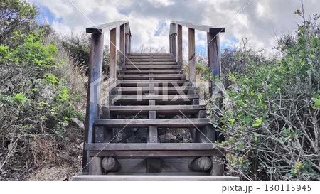 Explore the breathtaking Staircase Pathway that leads you through the stunning beauty of nature Explore the breathtaking Staircase Pathway that leads you through the stunning beauty of nature 130115945