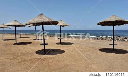 Colorful Beach Umbrellas Standing Tall on the Sandy Shoreline with a Stunning Ocean View 130116013