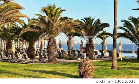 A Stunning Tropical Paradise with Lush Palm Trees and a Beautiful Ocean View Await You A Stunning Tropical Paradise with Lush Palm Trees and a Beautiful Ocean View Await You 130116035