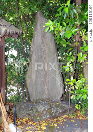 西蔵院(台東) 西蔵院(台東) 130116164