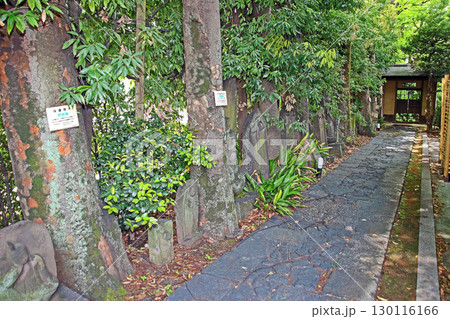 西蔵院(台東) 西蔵院(台東) 130116166