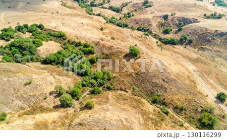 Dry grass on a rocky hill with a path leading toward a distant mountain in the rural Spanish countryside 130116299