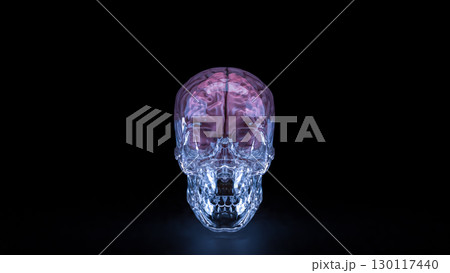 The Crystal Skull and Brain for sci or medical concept 3d Rendering. The Crystal Skull and Brain for sci or medical concept 3d Rendering. 130117440