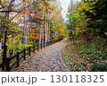 札幌の秋、旭山記念公園の紅葉 130118325