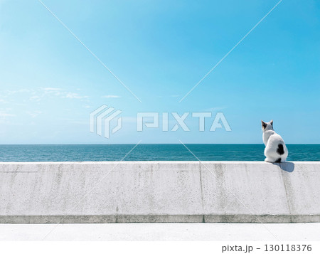 猫と海の見える道 130118376