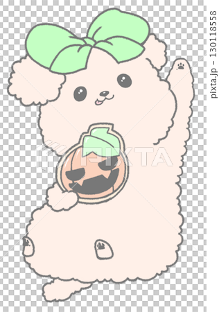 Cream toy poodle holding a Halloween cookie Cream toy poodle holding a Halloween cookie 130118558