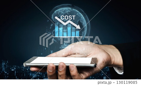 Digital Cost Reduction Strategy for Business Optimization Muxer 130119085