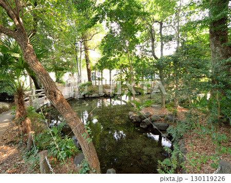 二宮神社のお池　東京都 130119226