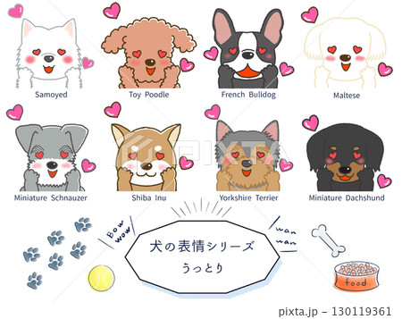 犬種別表情シリーズ うっとり 犬種別表情シリーズ うっとり 130119361