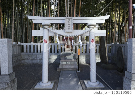 市川市　八幡の藪知らず 130119596