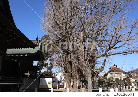 本八幡 葛飾八幡宮 本八幡 葛飾八幡宮 130120071
