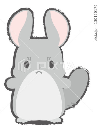 仁王立ちしているチンチラのイラスト 130120179