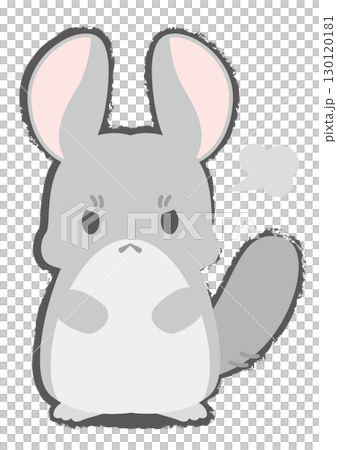 怒っているチンチラのイラスト 130120181