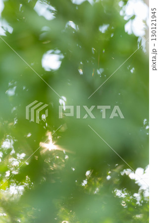 Business concept nature revolves around citrus orchard orange tree are growing, vibrant fruit organic lush leaves creating stunning background, green blur garden of thriving crop ripe laden branches 130121945