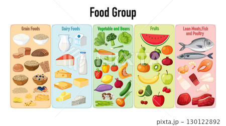Vector Chart of Five Main Food Groups for Nutrition 130122892