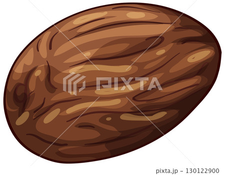 Whole Nutmeg Seed Vector Illustration with Textured Surface Whole Nutmeg Seed Vector Illustration with Textured Surface 130122900