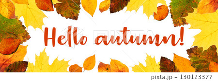 Fall banner Colorful autumn leaves framing cheerful greeting Hello Autumn on white background Fall banner Colorful autumn leaves framing cheerful greeting Hello Autumn on white background 130123377