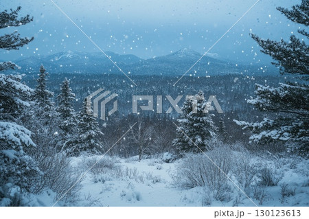Snowy Winter Landscape in Mountainous Region 130123613