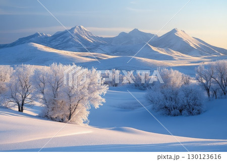 Tranquil Winter Morning Snowy Landscape 130123616