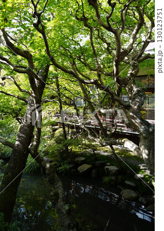 京都の寺院の庭園の風景 130123751